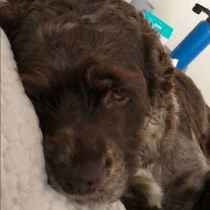 Meet your Posher, Mark